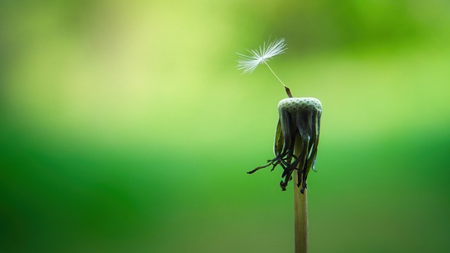 CImages7504ff30-31ad-478e-ac6a-9b0fef18d545