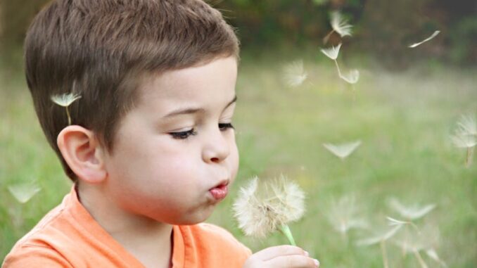 CImages4ff1d87b-9daa-4d41-8511-ea0383c2ec4f