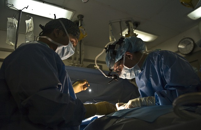 Advancements and Challenges in Understanding and Managing Toxic ...