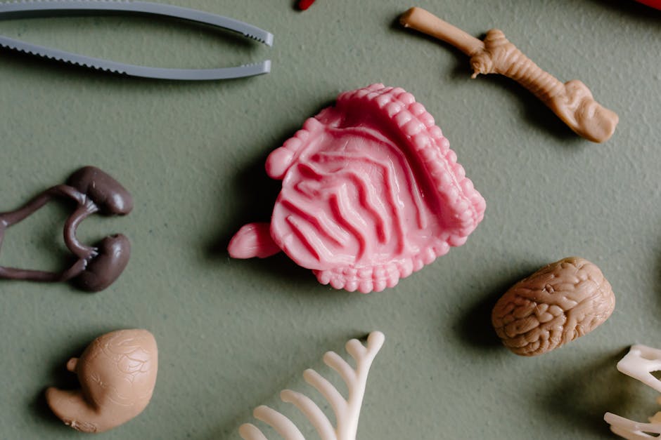 Advancements and Challenges in 3D Bioprinting for Regenerative Medicine ...